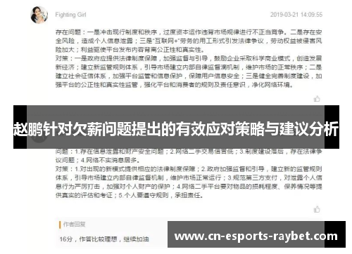 赵鹏针对欠薪问题提出的有效应对策略与建议分析