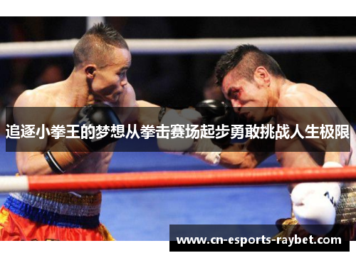 追逐小拳王的梦想从拳击赛场起步勇敢挑战人生极限