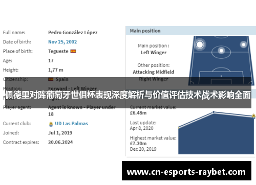 佩德里对阵葡萄牙世俱杯表现深度解析与价值评估技术战术影响全面
